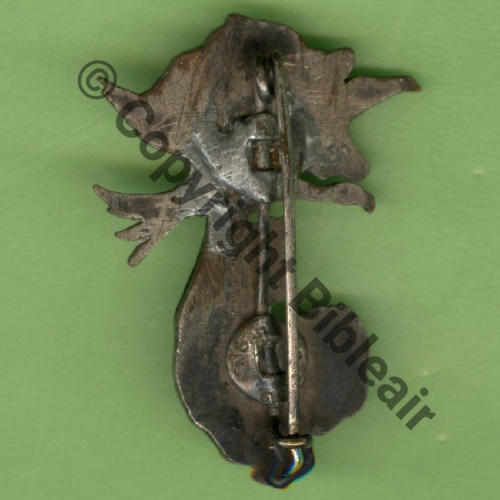 SECTION PHOTO LEGERE E.O  AUGIS SM DBol fenetre PASTILLE AUGIS LYON Dos lisse irreg Src.Y.GENTY 224Eur(x5) 